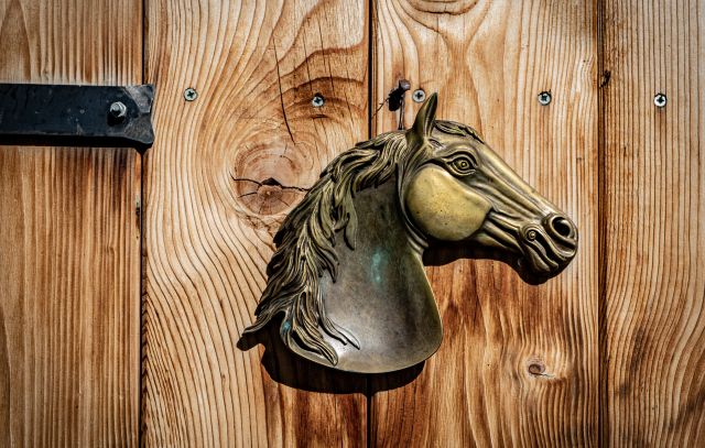 Immagine: Apartments Pré Calalt